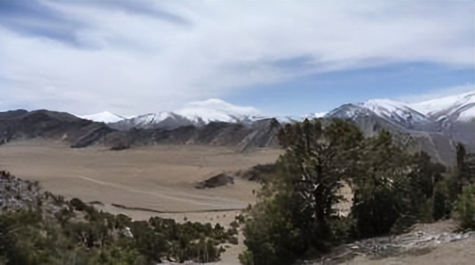 祁连山发现猛兽,祁连山发现的雪豹