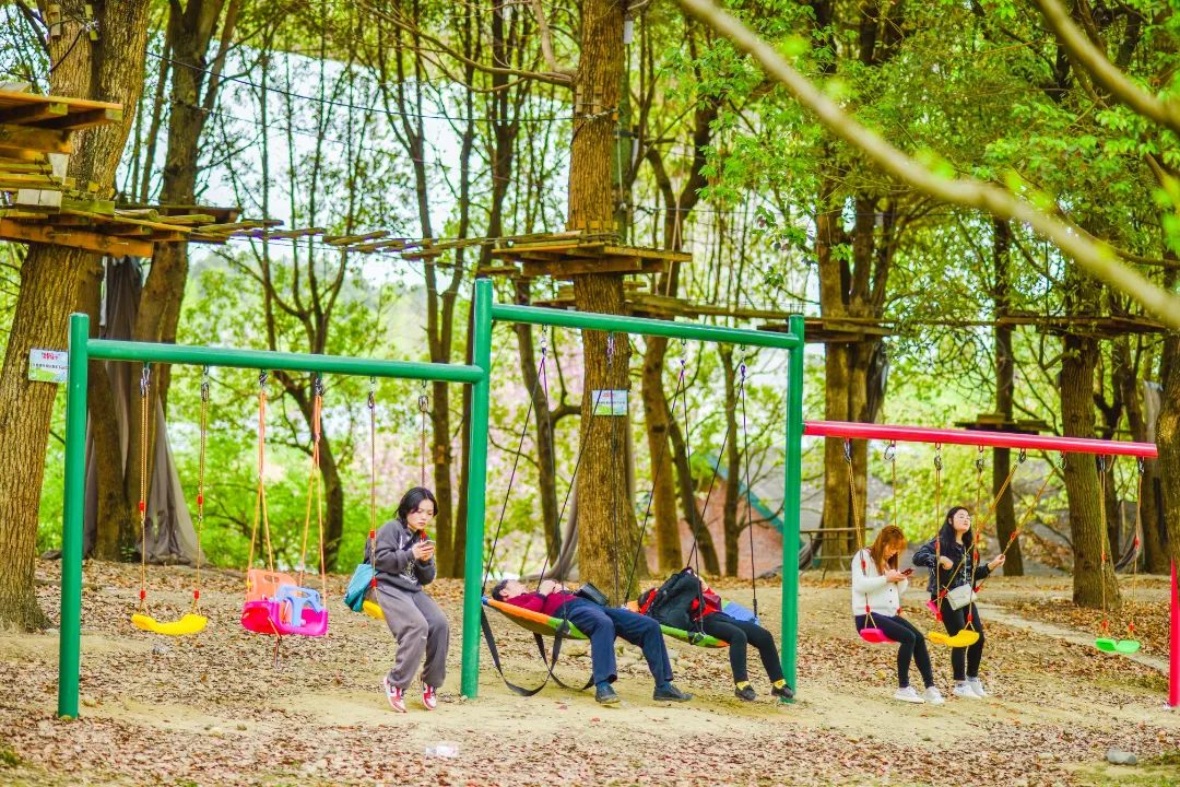 秀丽东方最新版,秀丽东方最新视频