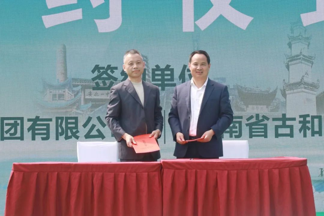 安化黑茶开园视频,安化黑茶网上开园