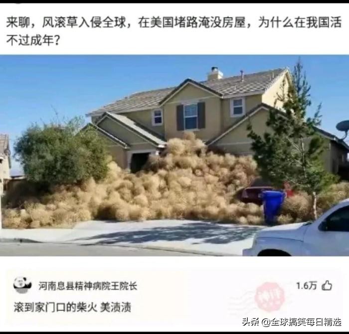 爬山回来为什么手指头长毛,爬山回来手指头长了几根毛