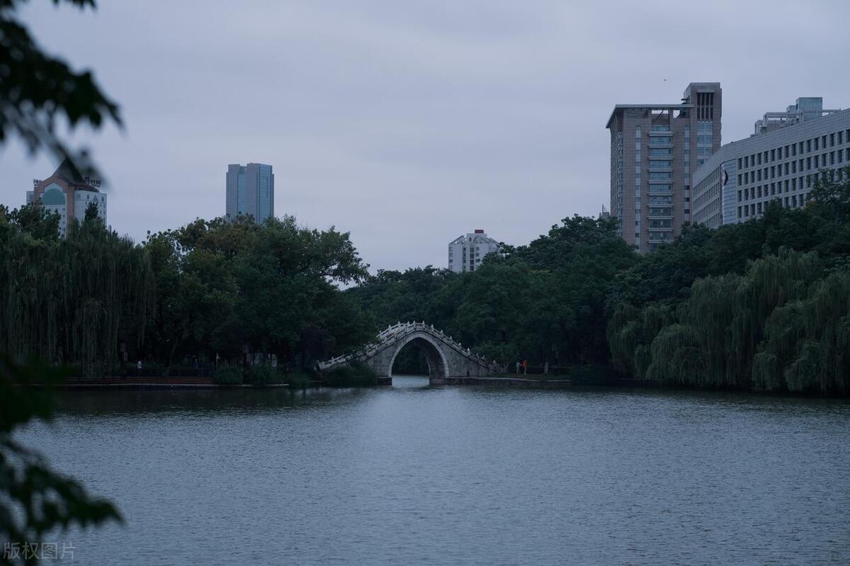 合肥最美公园在哪个区,合肥有哪些公园值得一去