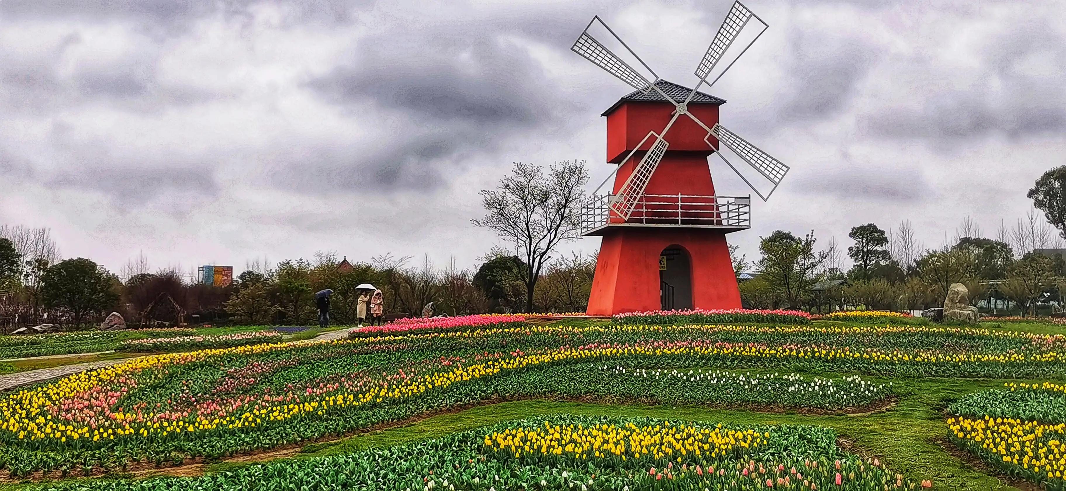 湖北宜昌花海赏花,枝江同心花海四月有什么花