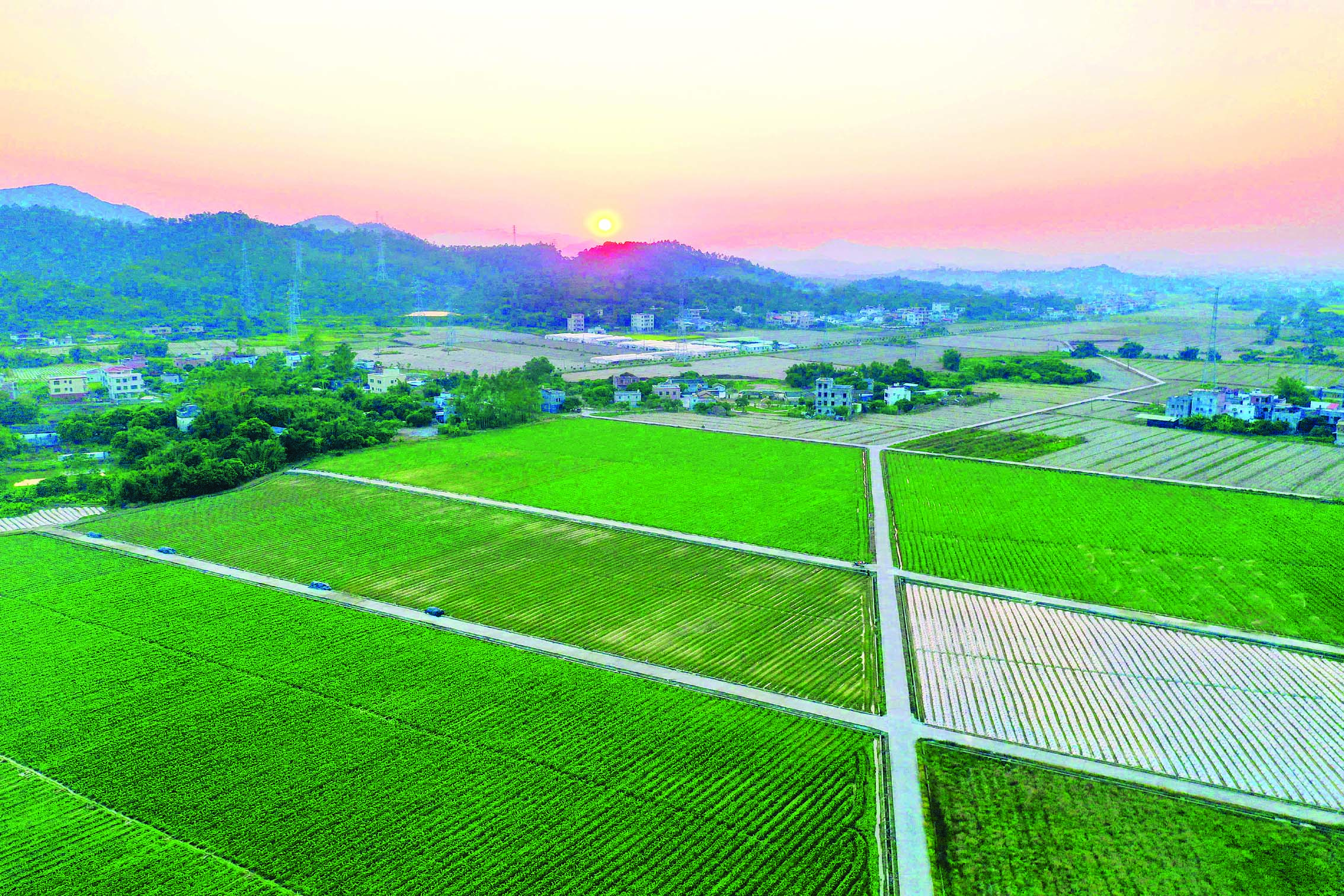 共赏“良”辰美“井”！惠阳区良井镇加快三产融合