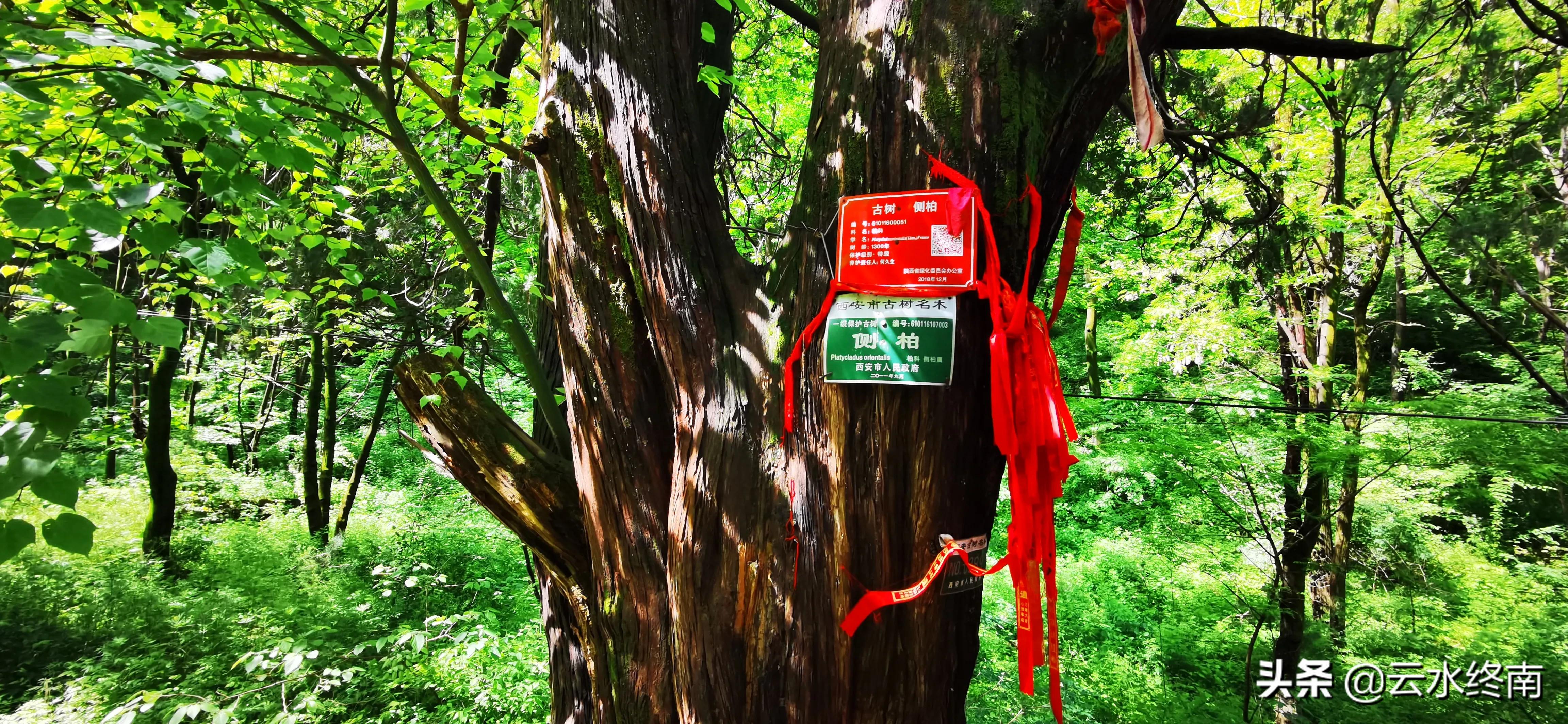 看值不值？登顶沣峪里这个曾经收费的景区，看九鼎万华详细攻略