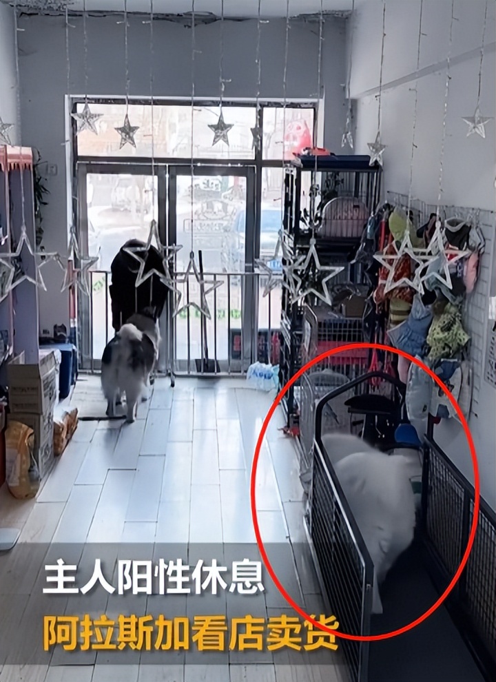 买不到茅台买啥酒,买不起茅台酒还吃不起冰淇淋吗