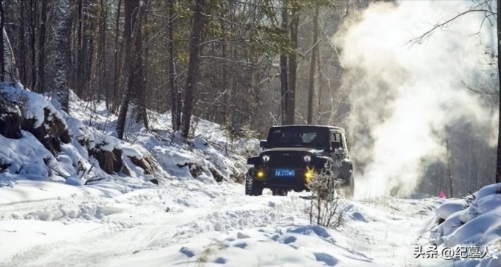 64年勘测队遭遇凶猛狼群，战士心软投喂食物，头狼带群狼前来报恩