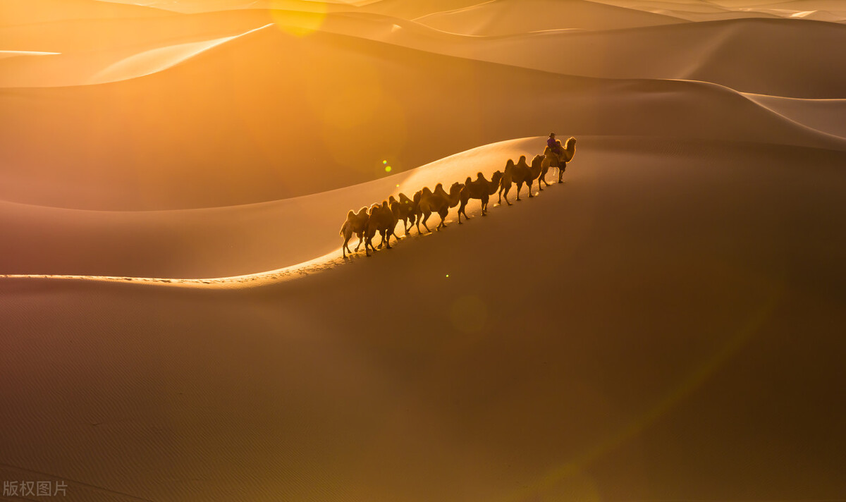 阿拉善旅游攻略必玩的景点地图,内蒙古阿拉善游玩攻略