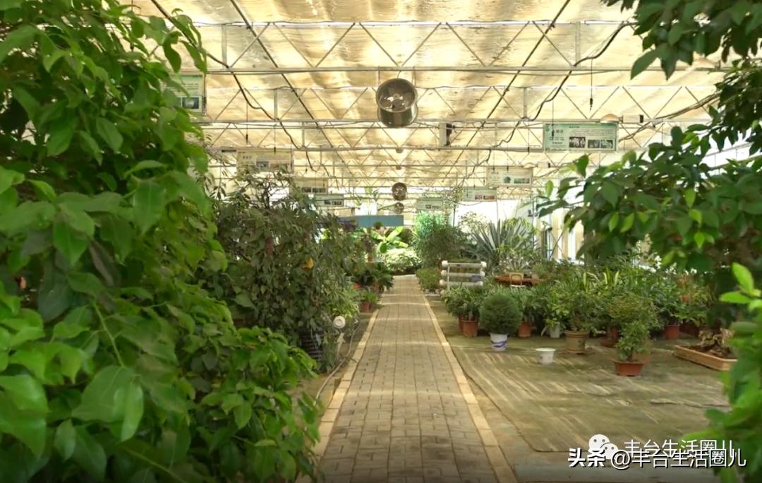 丰台校区在哪儿,北京丰台区丰台第一小学