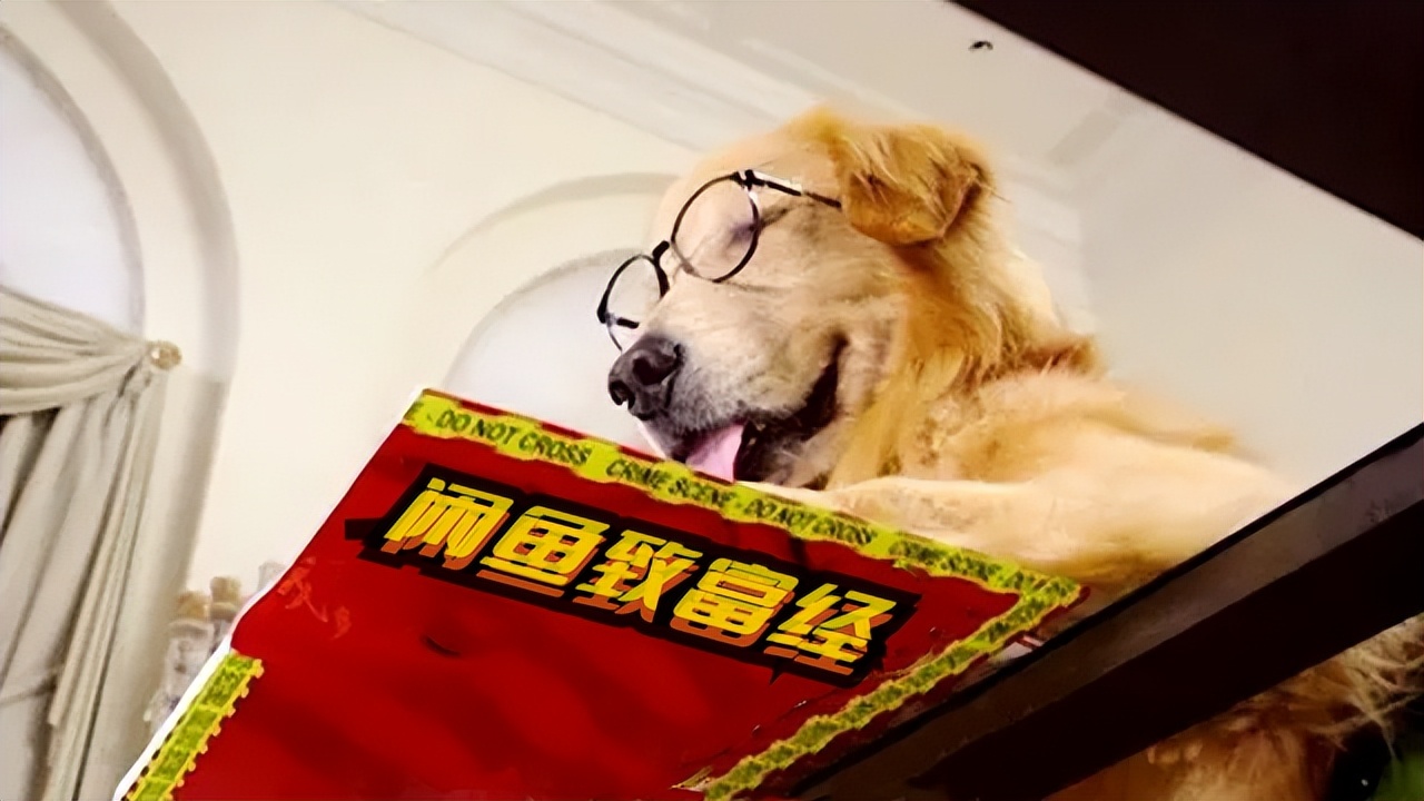 闲鱼上的年轻人怎么玩,咸鱼青年生活记录