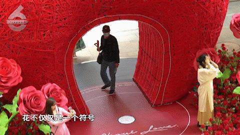 玫瑰瀑布、巨型爱心刷爆了！浪漫背后有秘密→