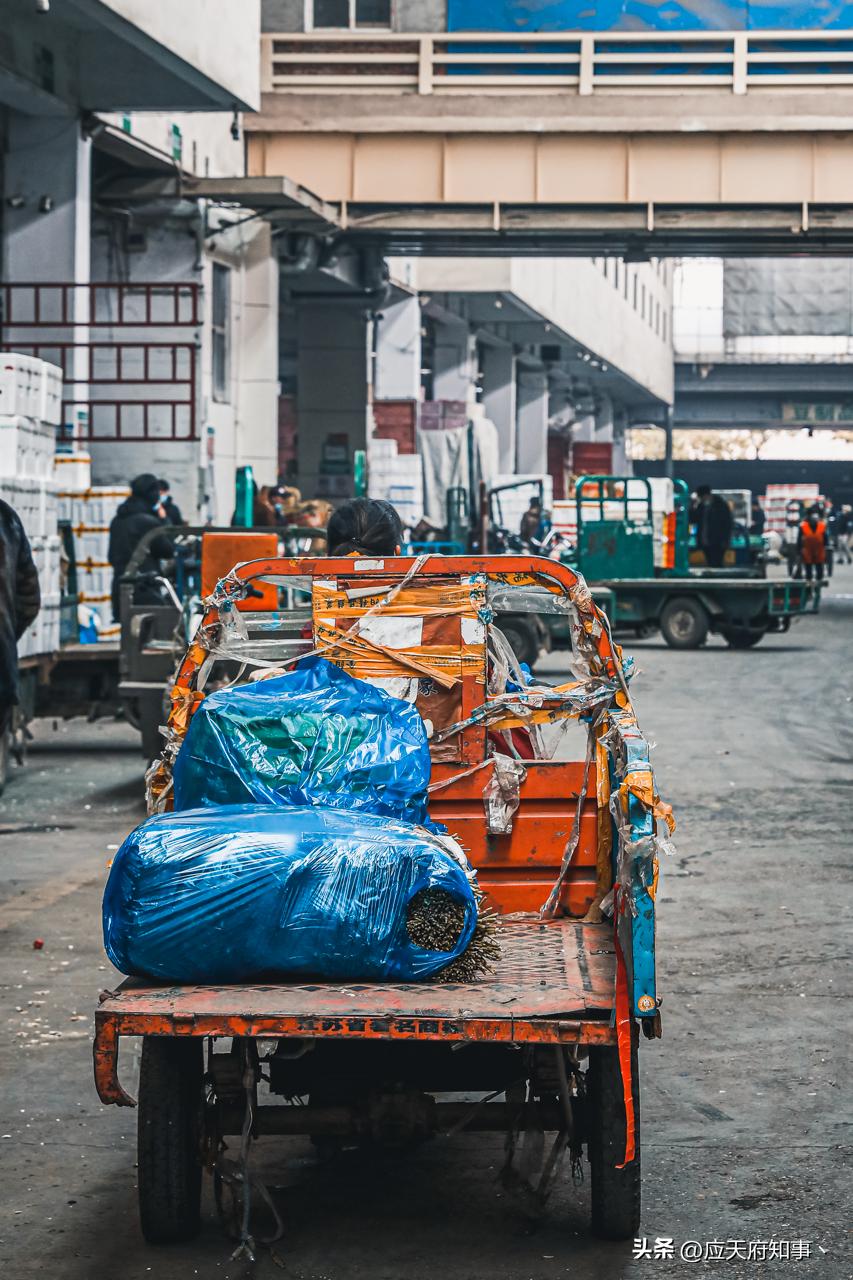 南京人囤物资,众彩年货攻略大全