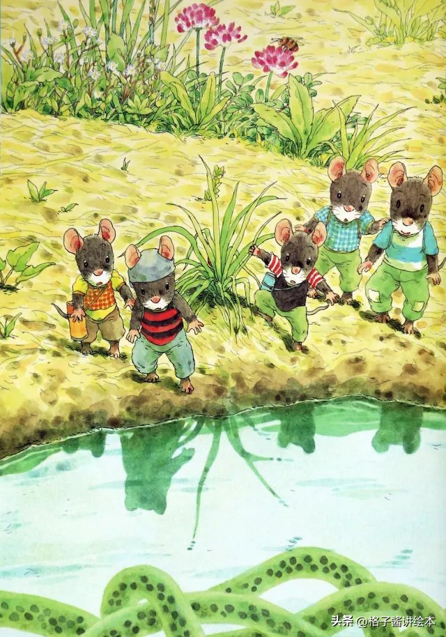 绘本十四只老鼠去春游简介,绘本14只老鼠去春游视频