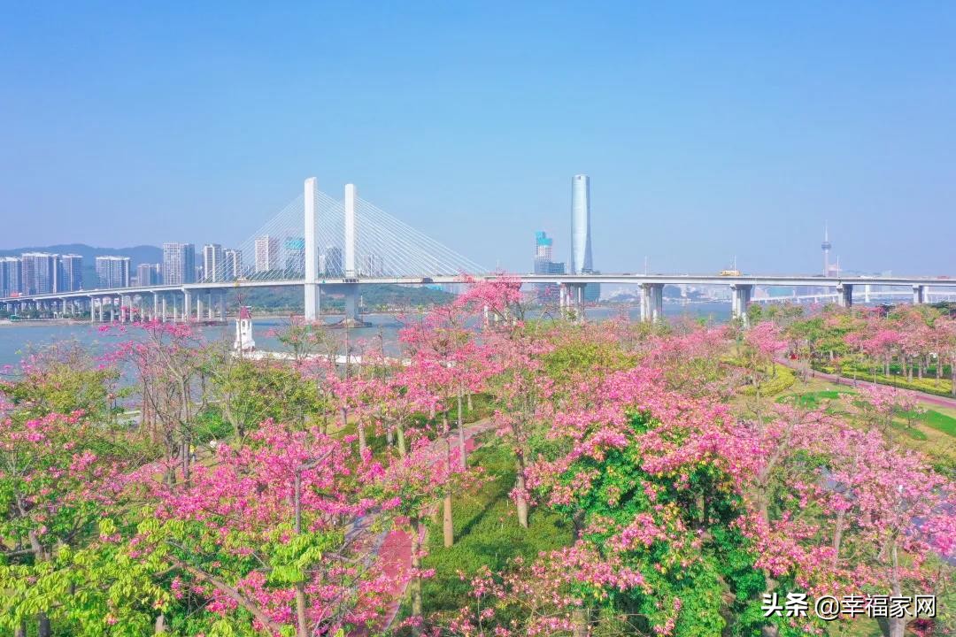 横琴旅游攻略一日游景点推荐,横琴夜游旅游攻略景点大全