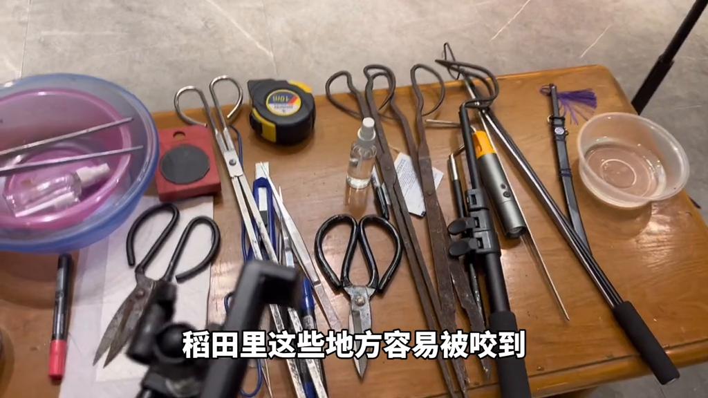 短尾蝮蛇咬伤致死率高吗,短尾蝮蛇咬伤后症状