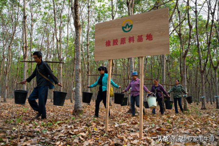 乳胶床垫防压防塌,乳胶床垫的陷阱