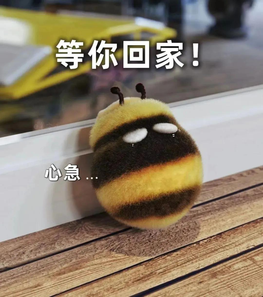 蜜蜂bee表情包,肿脸蜜蜂表情包