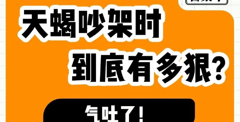 天蝎座男孩性格脾气,天蝎座和双子座脾气