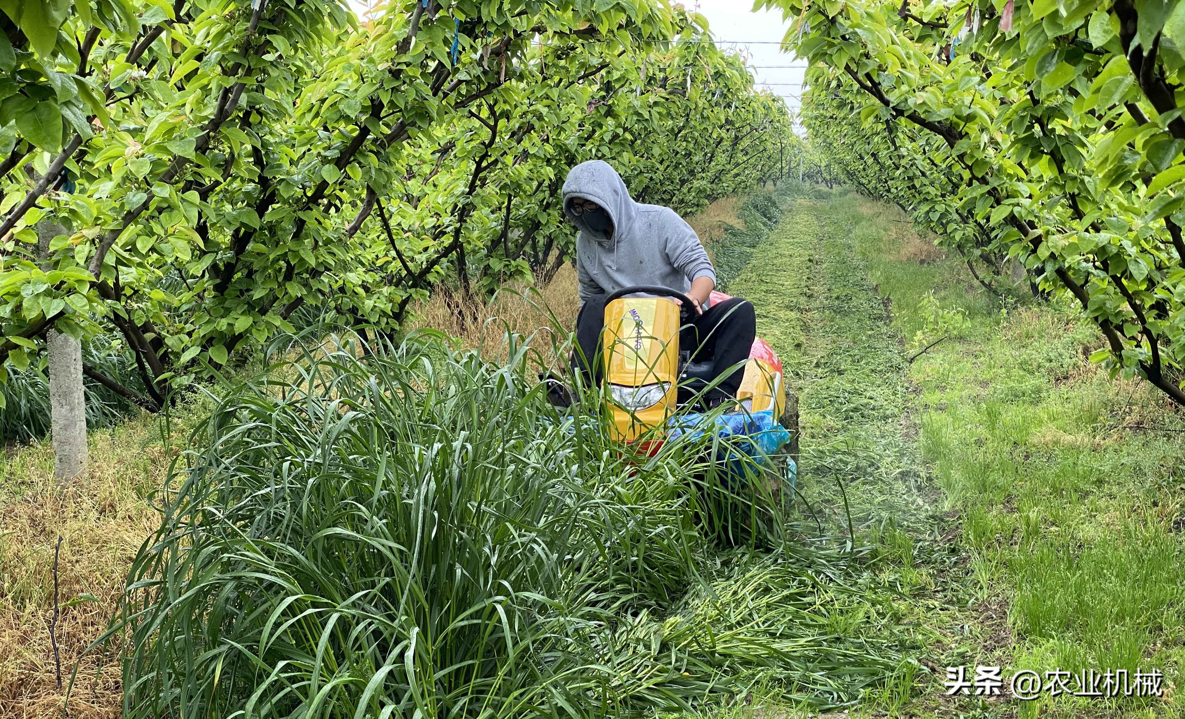 筑水农机专注做特色产品