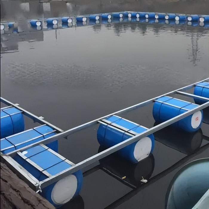 湖北大叔鱼肚中发现“黑黄金”，一条鱼卖600万！三年赚两亿