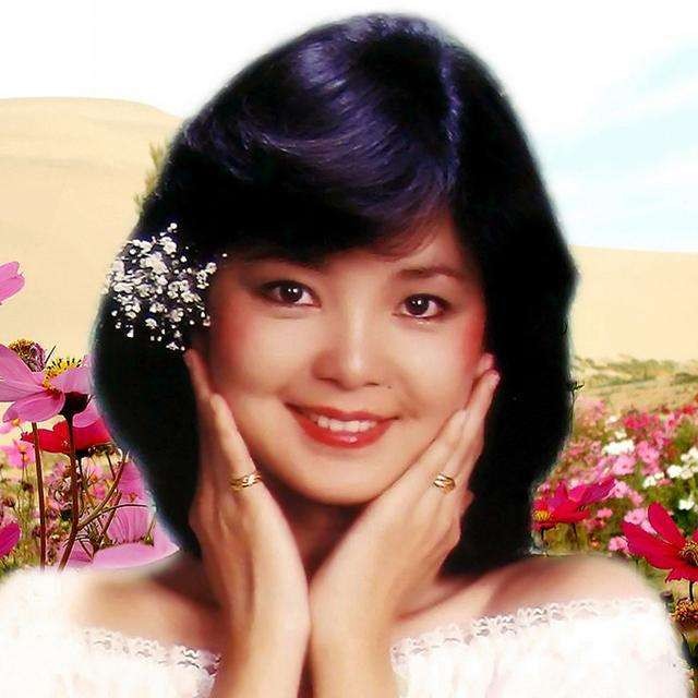 圆脸女明星变美思路,圆脸塌鼻女生变美技巧