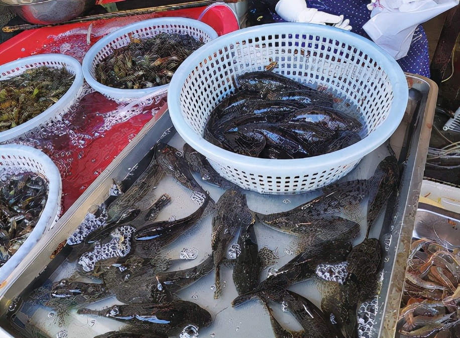 正在消失的六种河鲜,即将消失的10种河鲜