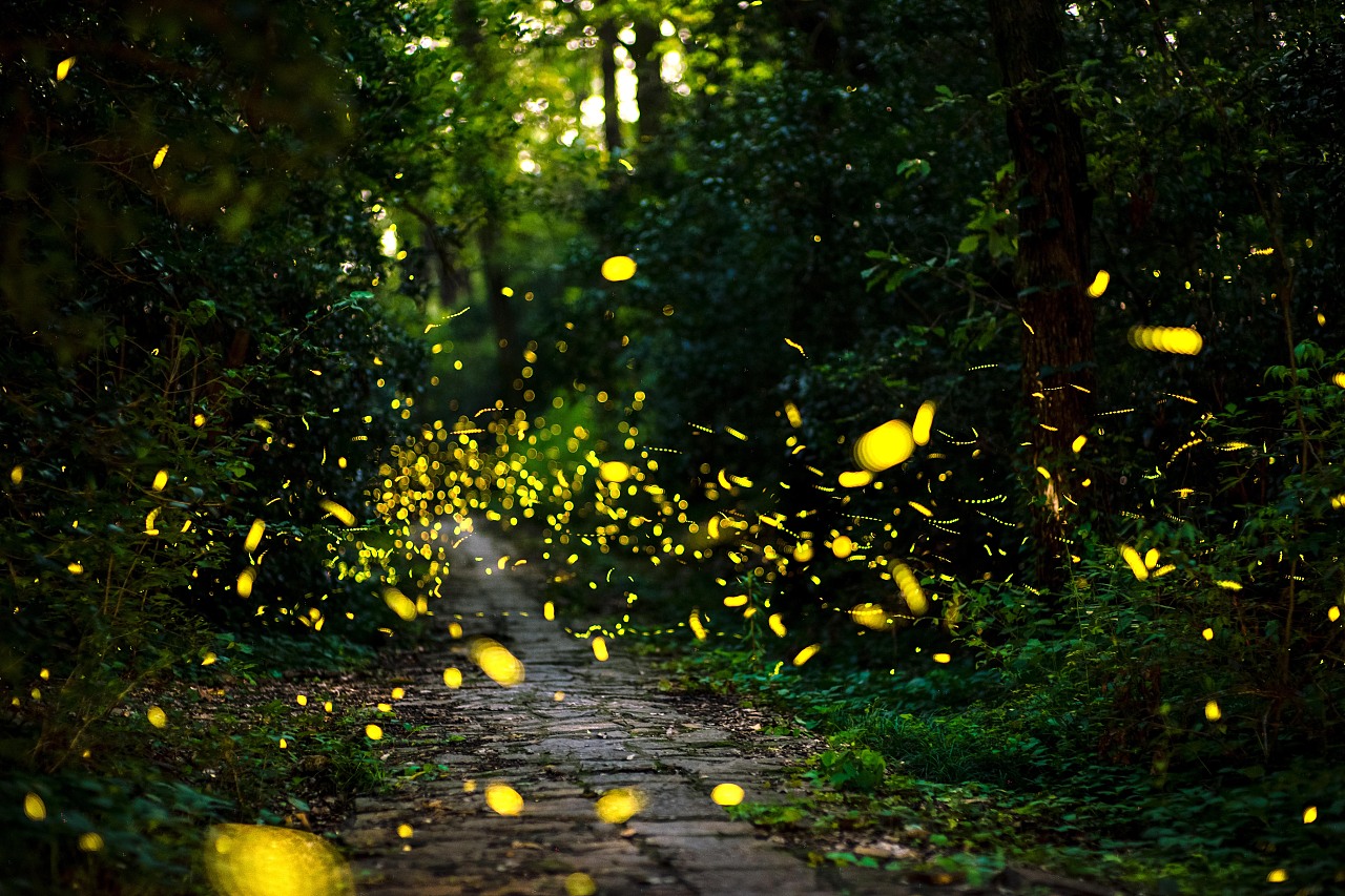 巴音博罗散文集,散文作者巴音博罗简介