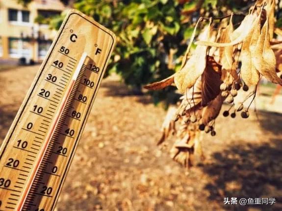 入伏这天天气预示什么,出伏当天天气好是啥预兆