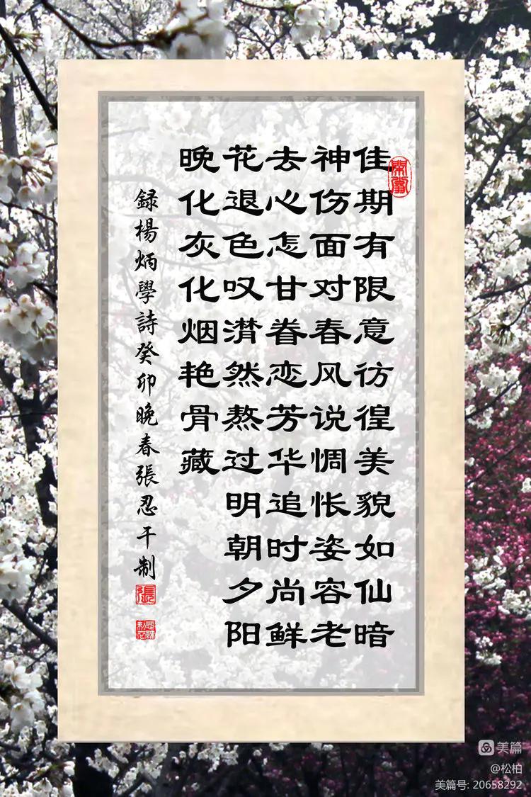 百花园（十六）樱蕾暗香溢