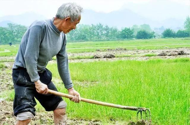 一户一宅土地补偿,一户一田制每亩补偿多少钱