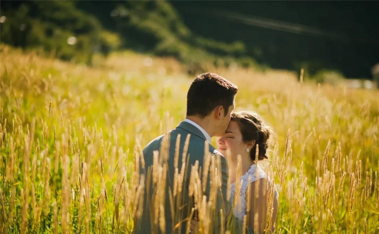 杨乐乐说汪涵完整版,玫瑰之约汪涵和杨乐乐