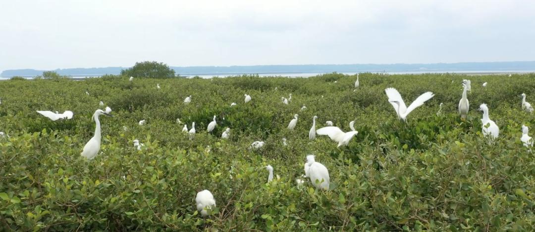 为什么会爱上广东,为什么会爱上英文歌