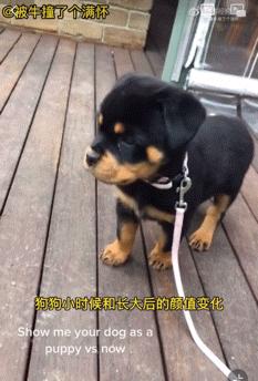 “我再也不想跟老公一块睡了”网友：我出50块，把床铺大点哈哈哈