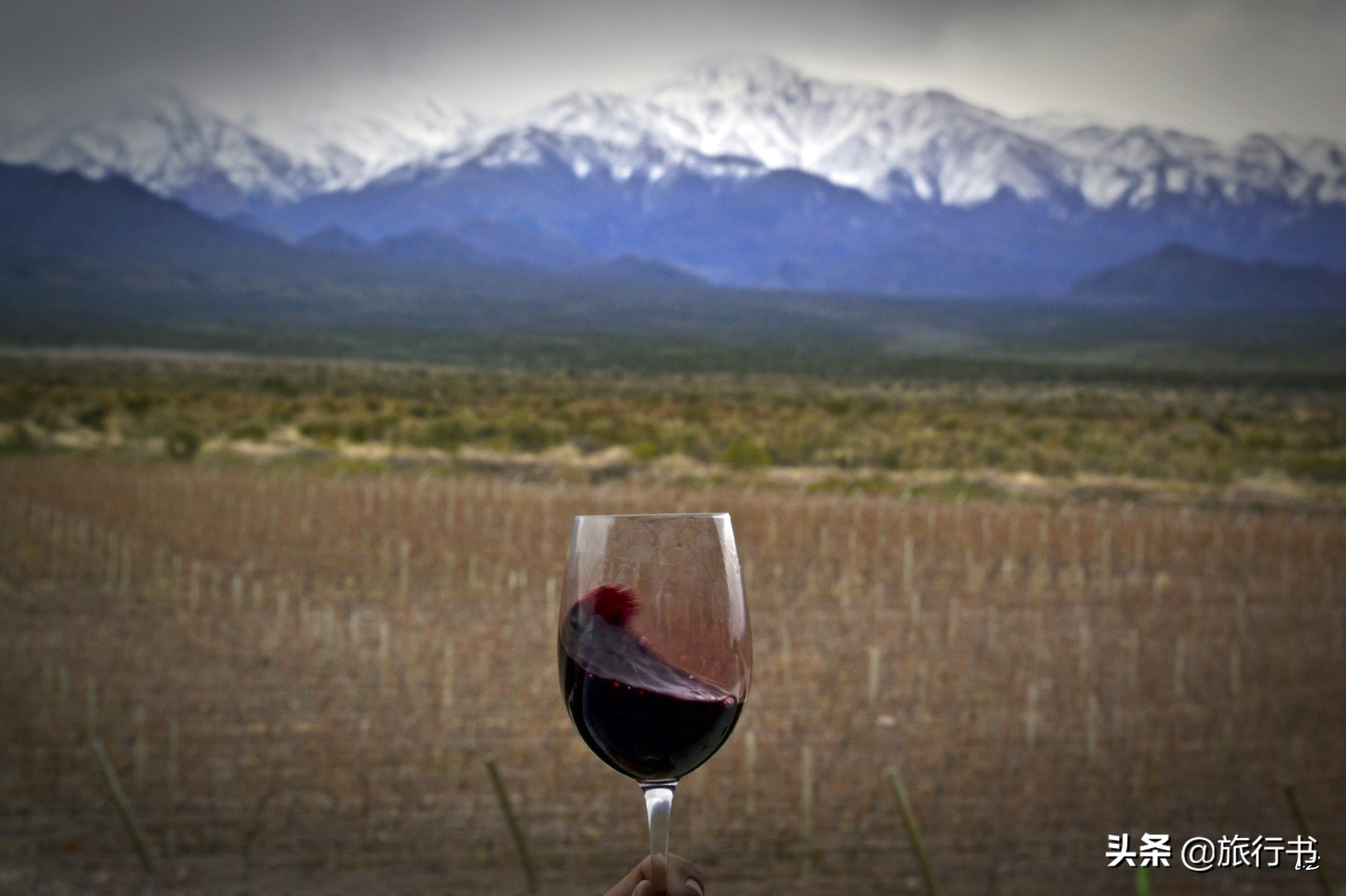 智利葡萄酒和法国葡萄酒哪个好些 (智利葡萄酒和中国葡萄酒口感对比)