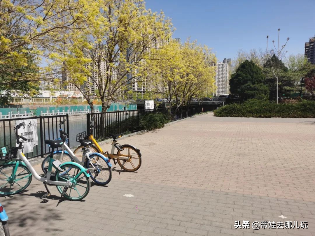 盘点各城市的骑行绿道,北京朝阳区39公里绿道将开放骑行