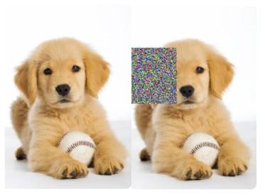 轻量级图像增强,图像增强的展望