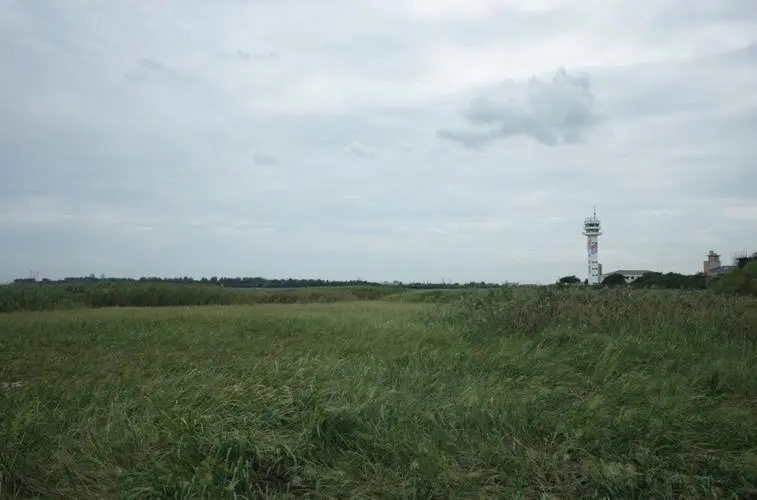 减肥养生忽悠人的套路,骗人的减肥办法都有哪些要避坑