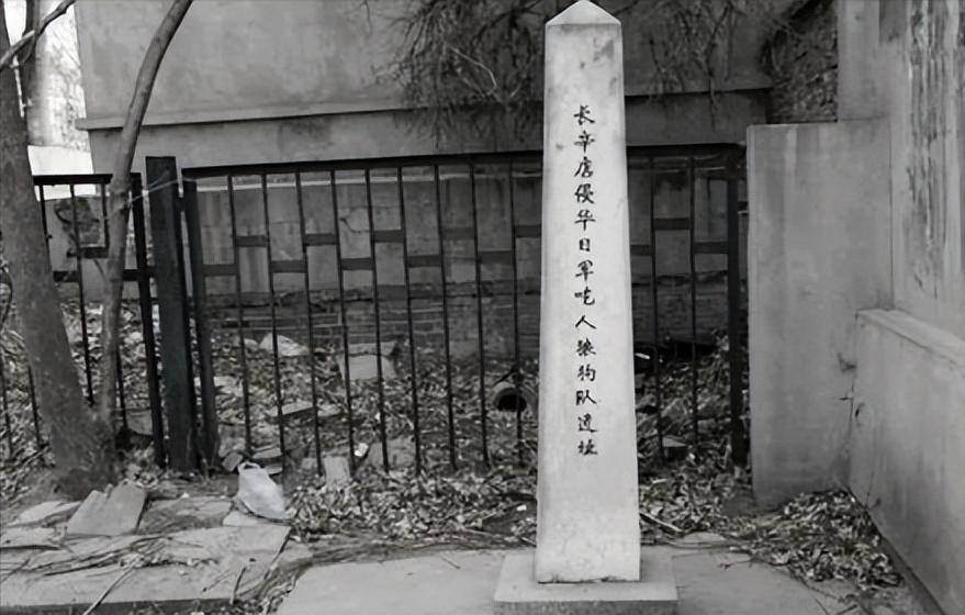 1939年日本狼狗部队,董翰良训练中国狼狗