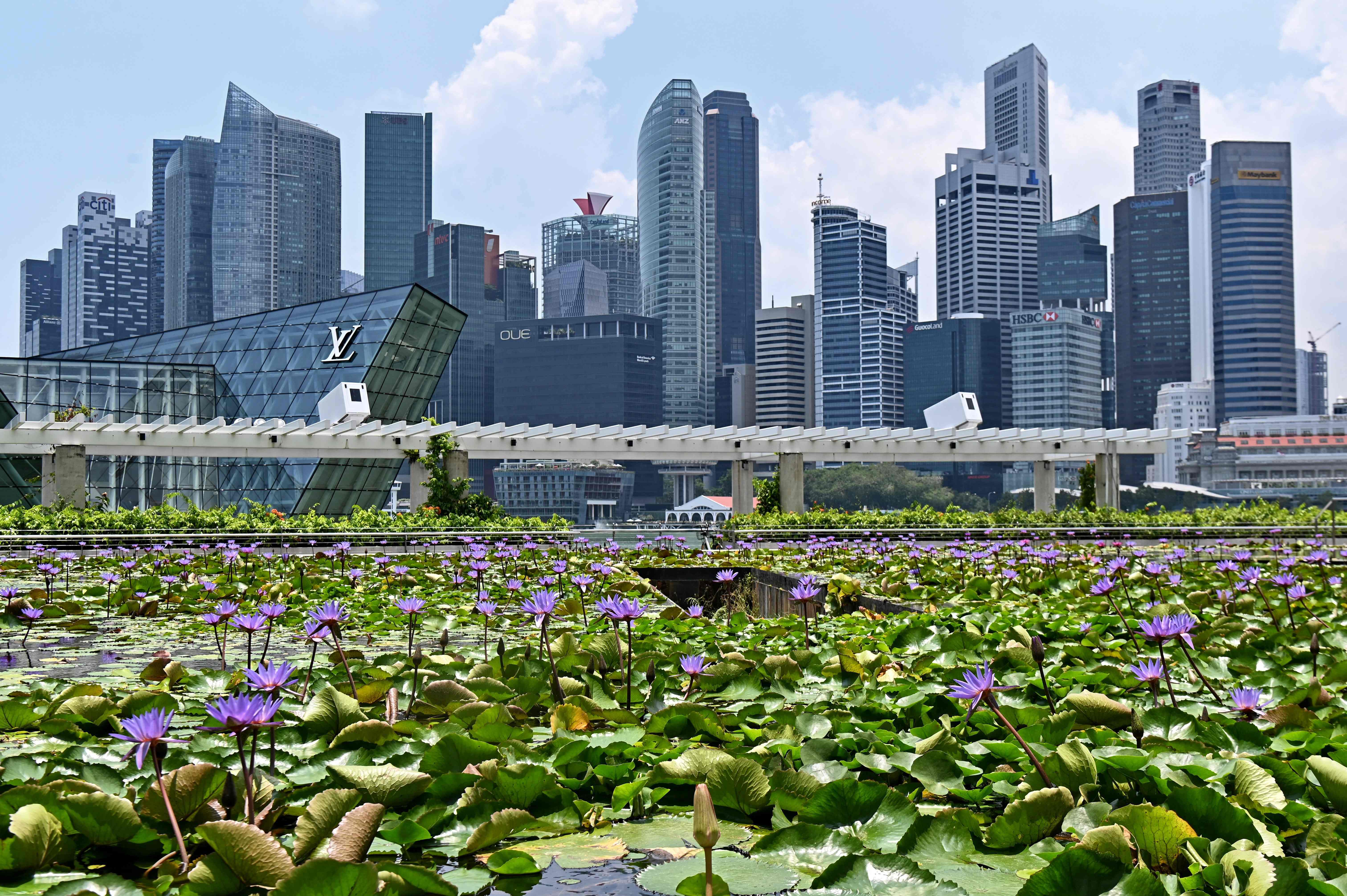 出国打工什么岗位最赚钱,出国劳务海外高薪职位推荐