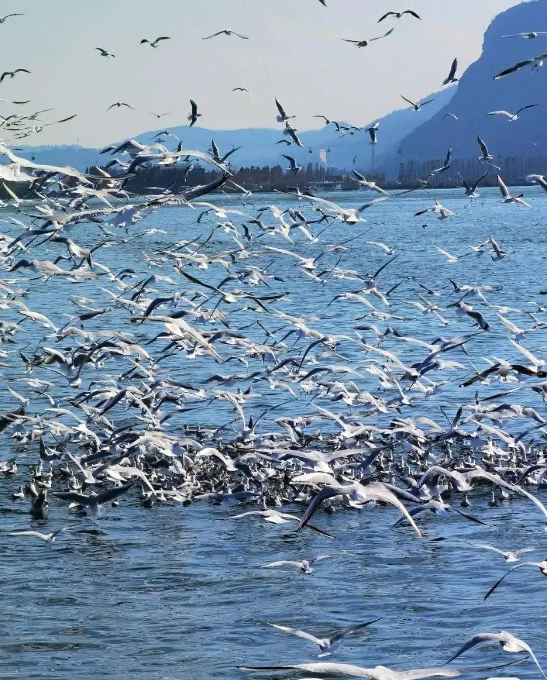 这个季节适合去昆明哪旅游,这个季节在昆明游最应该去的地方