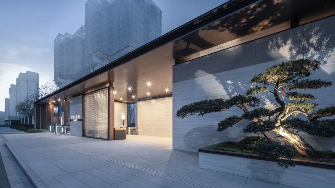 松树的文化内涵和精神品质,松树给人什么样的美感