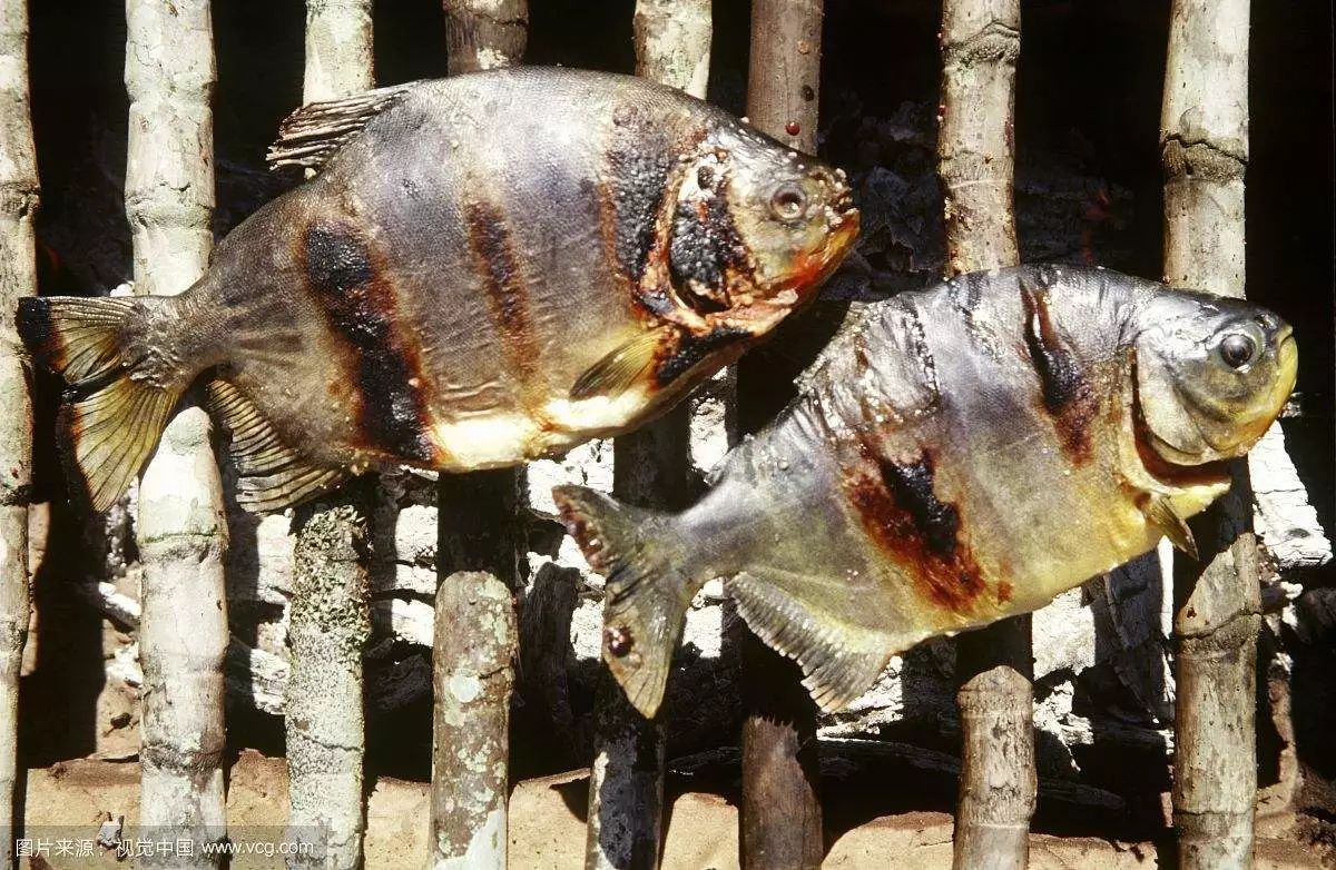 秘鲁这个国家怎么样了,秘鲁国家富裕还是贫穷