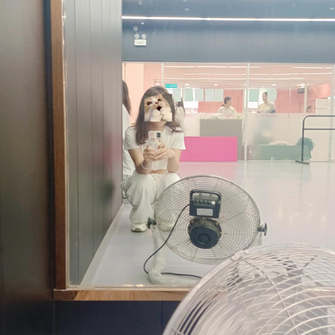 瑗垮畨澶忔棩鍑鸿,瑗垮畨澶忔棩琛屽姩