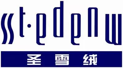 宁夏圣雪绒集团公司管理层,宁夏圣雪绒集团成长史