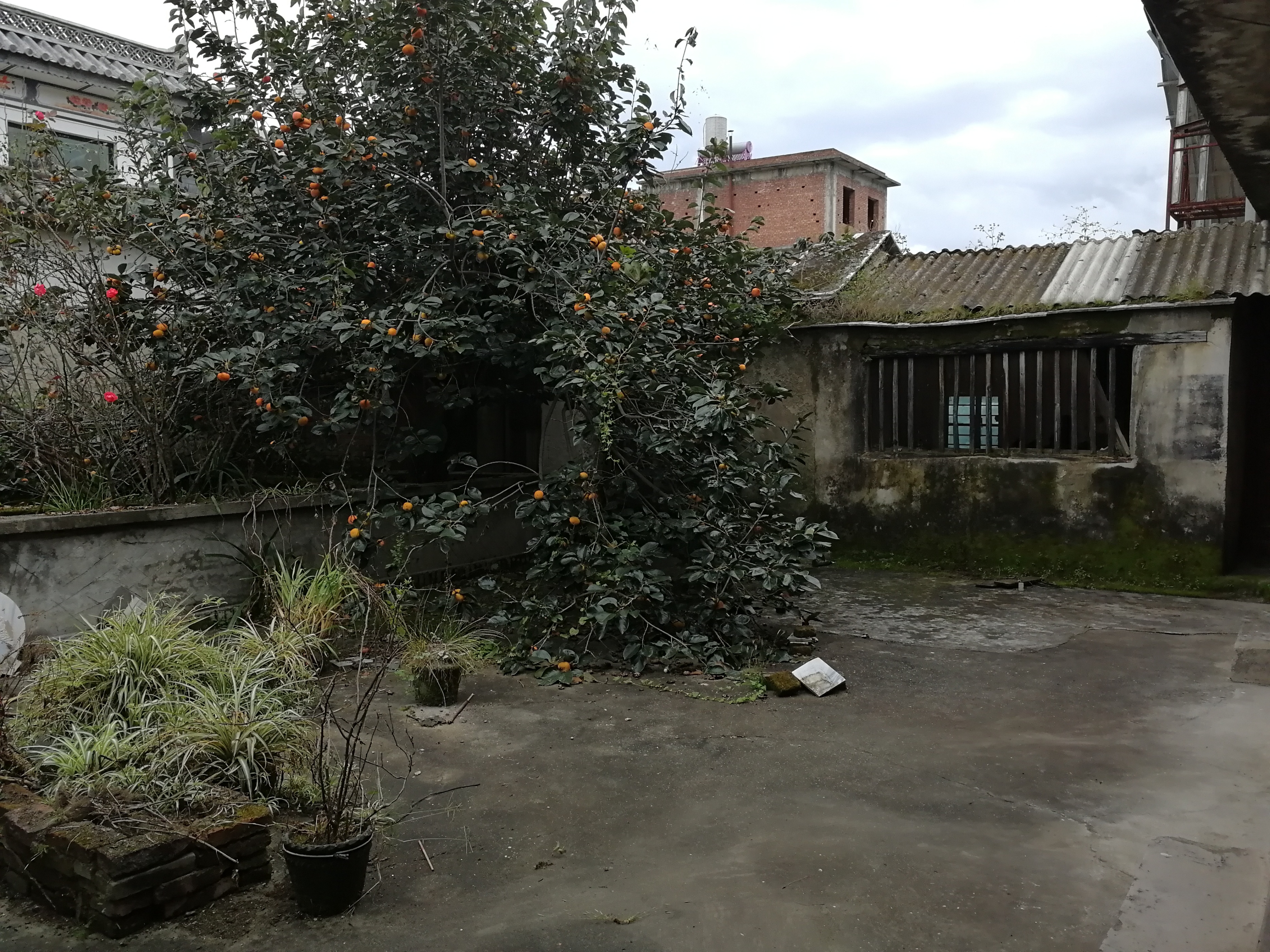 大理院子装修顺序攻略,大理民宿老屋怎样装修