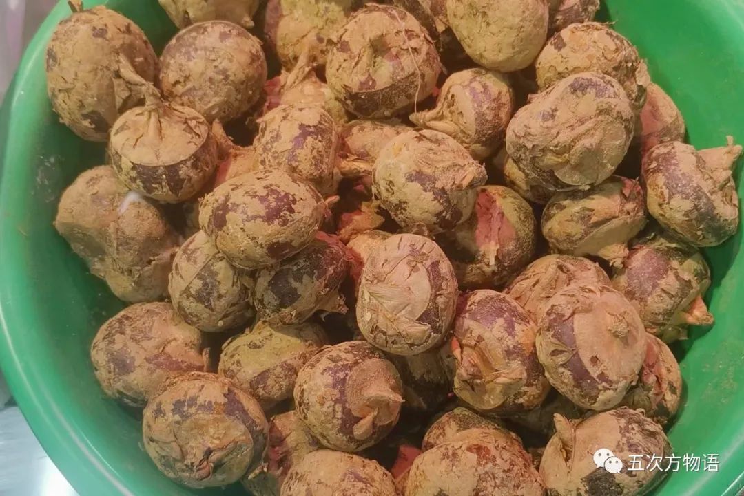 茎菜类蔬菜大全，你全吃过吗？