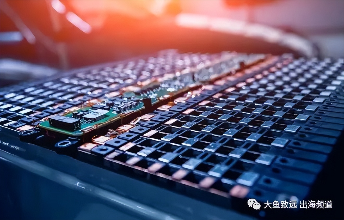 紧抓外贸电商风口从废墟中站起来的女人四年从100万到2亿笨鸟社交