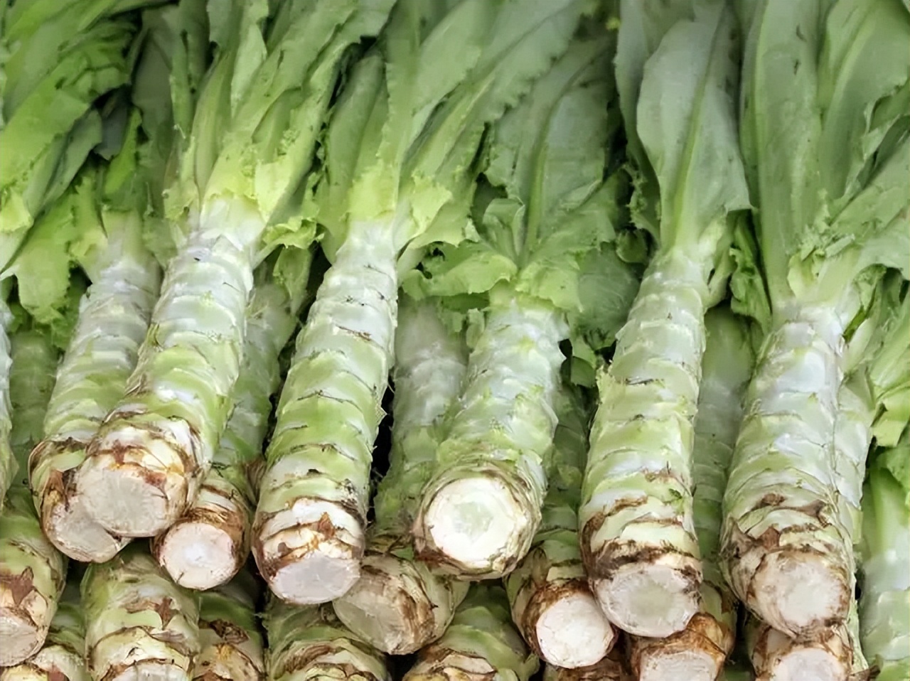 做莴笋时，别直接下锅炒了，饭店大厨教你一招，莴笋脆嫩又好吃