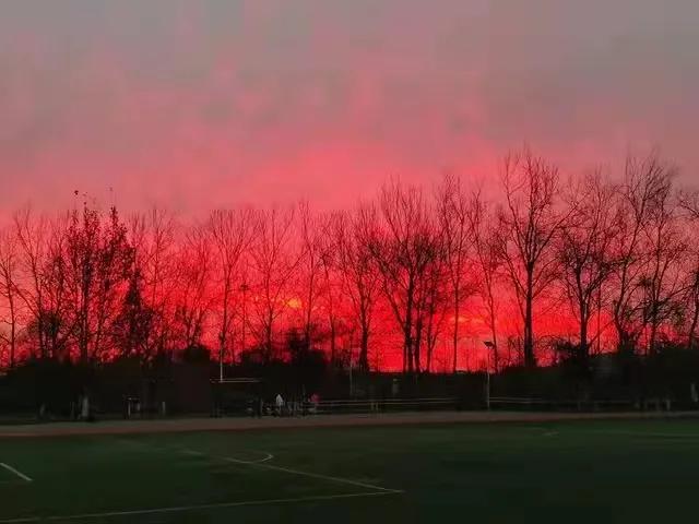 如有雷同纯属巧合什么意思,如有雷同纯属巧合故事