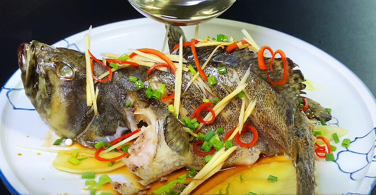 春季养生宜选择的几种野生海鱼,什么海鱼最好养又营养