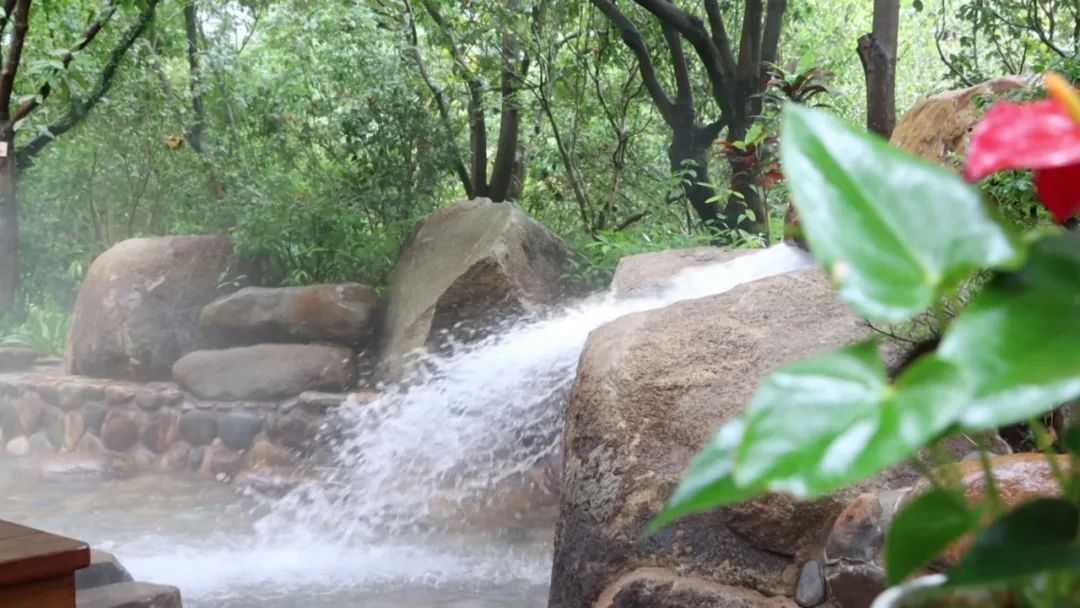 福建长泰：福之旅·主播带你游——绿色生态享福之旅